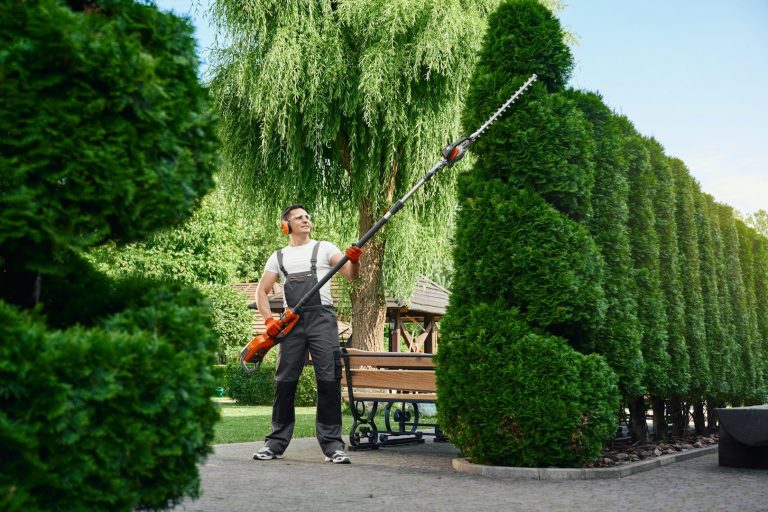 Gärtner schneidet mit einer langen Schere Hecken in einem Garten.